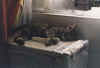 cien4.jpg (177504 byte)